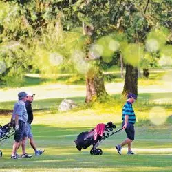 The Park Golf Course & Restaurant & RV Park