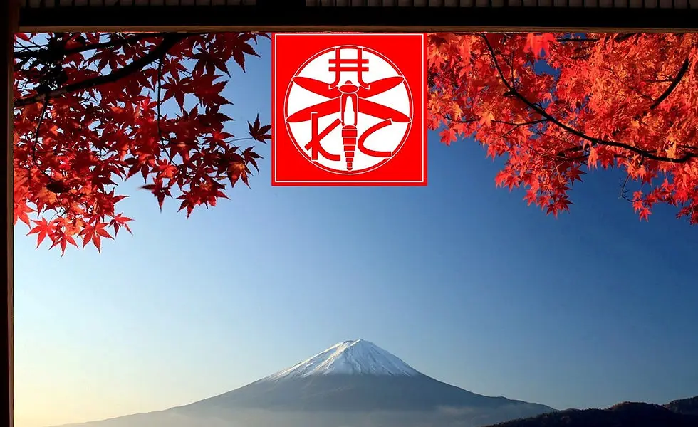 Hurepoix Kendo Club