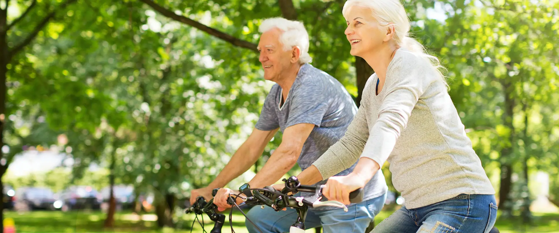 Waverley Life Activities Club Inc