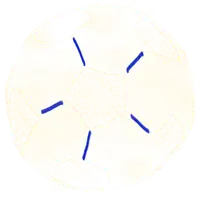 The Amazing Gracies FC