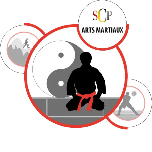 Sporting Club Plaisance Du Touch Martial Arts