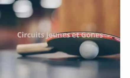 ALVS - Table Tennis