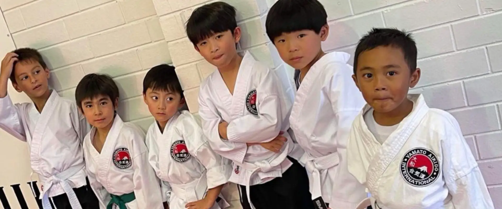 Yamato Aikido International