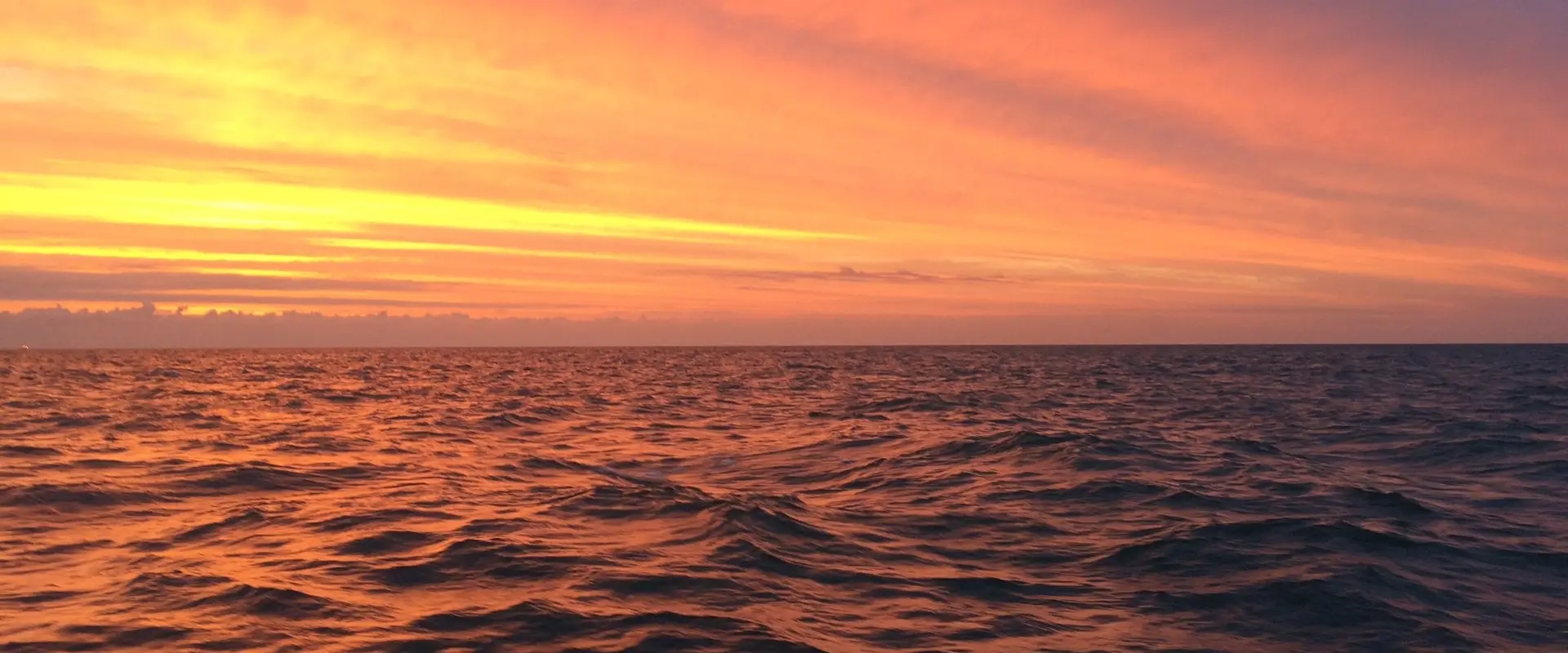 Butterfly Yacht Charters Ltd