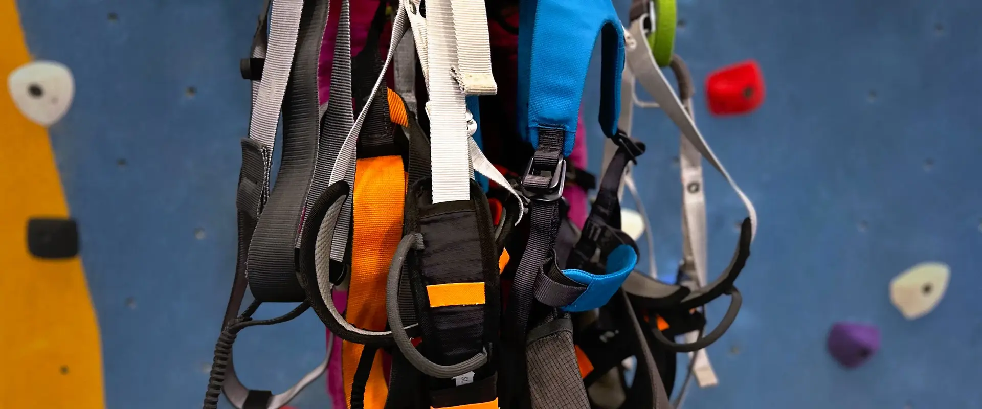 The Arch Climbing Centre