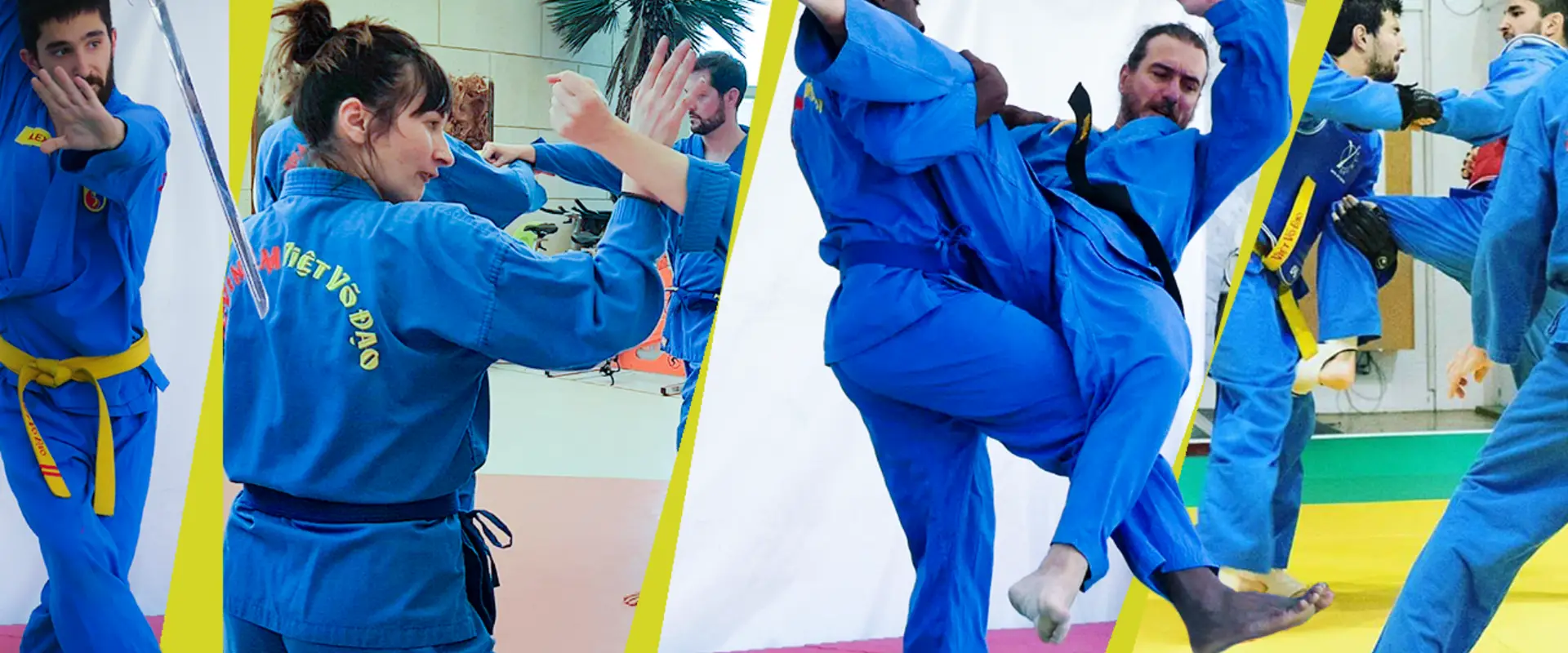 Asl Vovinam Viêt Vo Dao