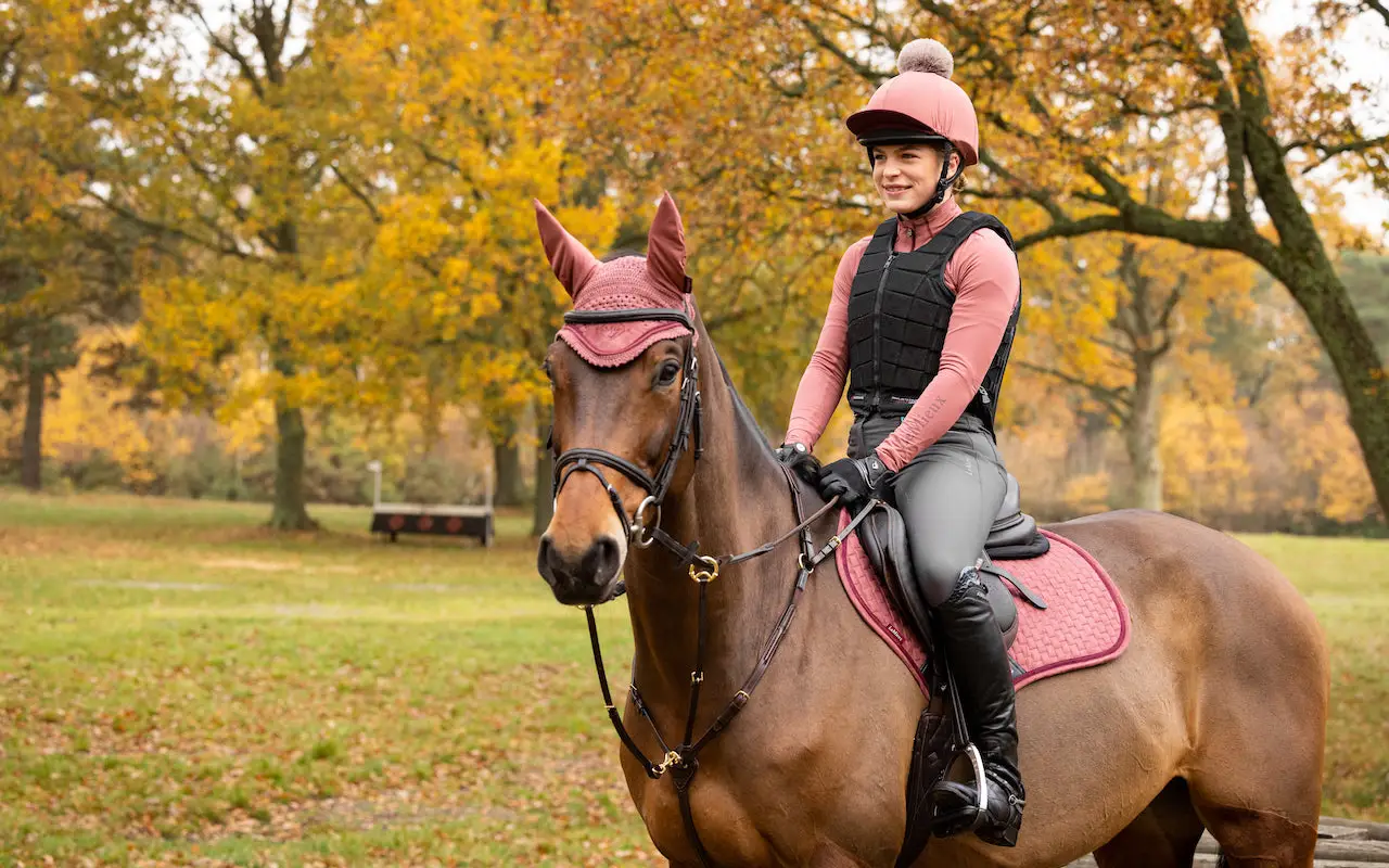 Ayr Equestrian