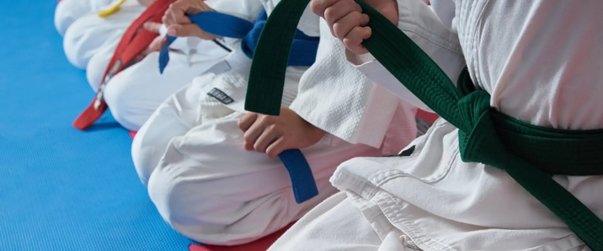Indomitable Martial Arts