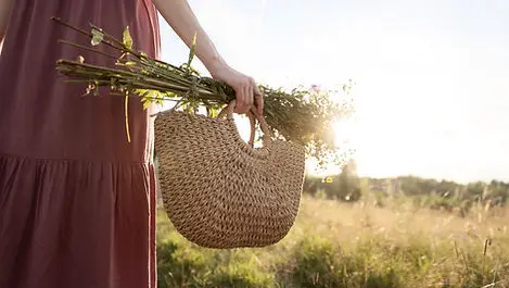 Isabelle Porté Portugues | Naturopathie | Fleurs de Bach | Reiki | Sommières