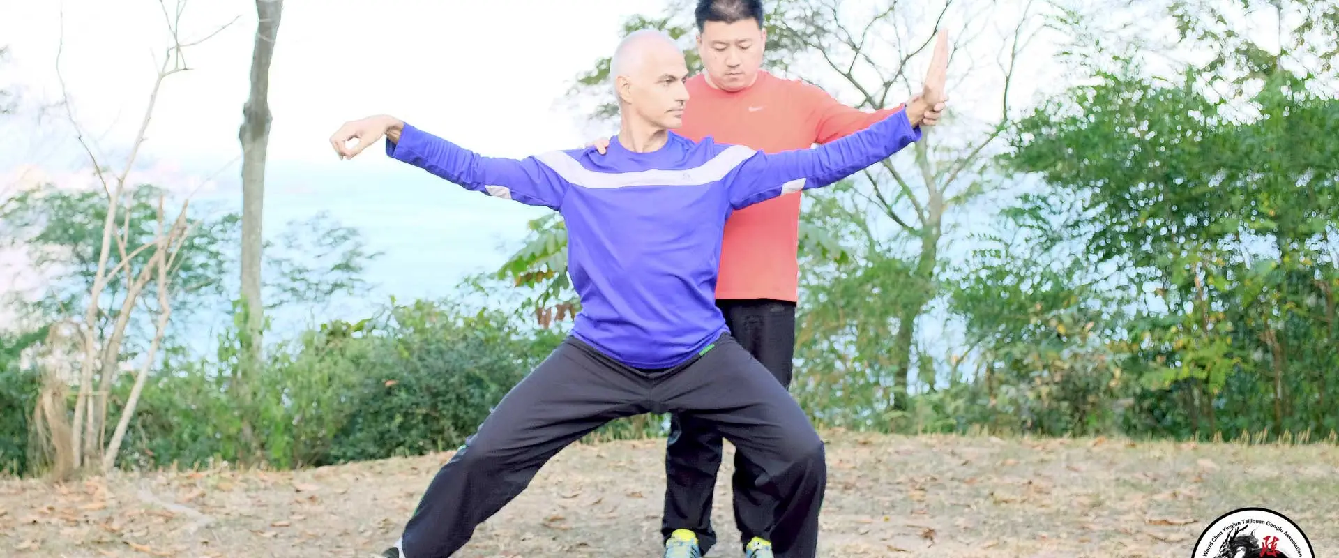 Chen Yingjun Tai Chi Ottawa