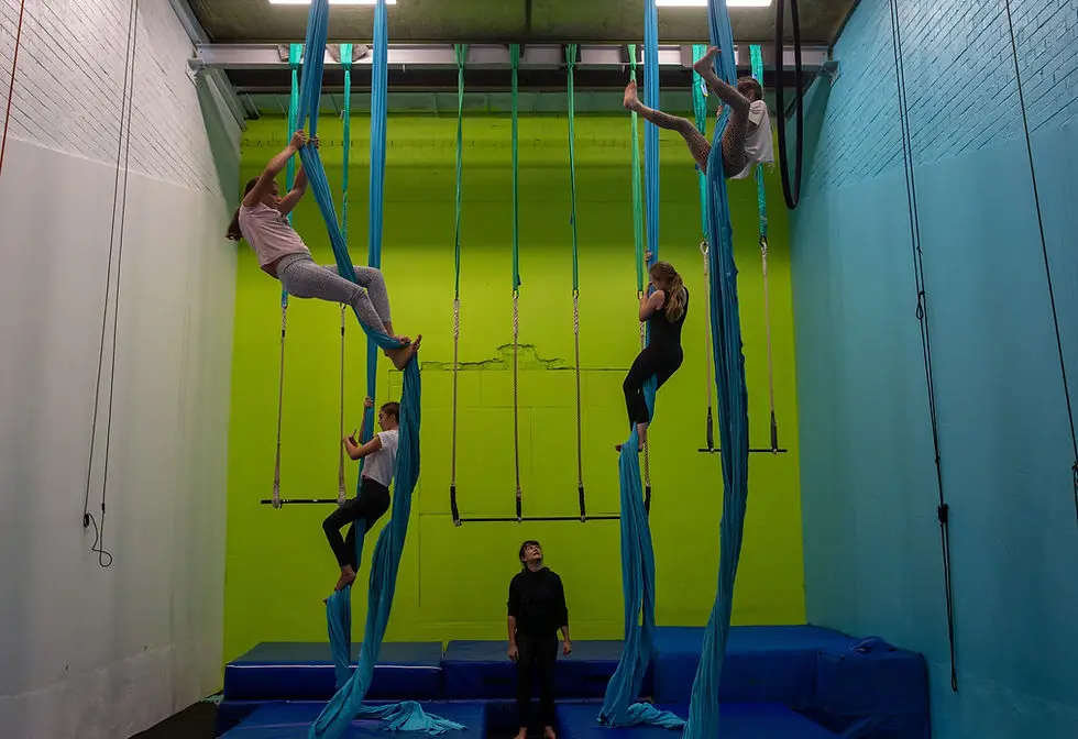 Treetop Arts: Gymnastics Programs