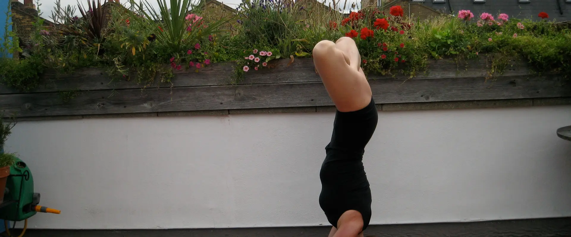 Art of Yoga