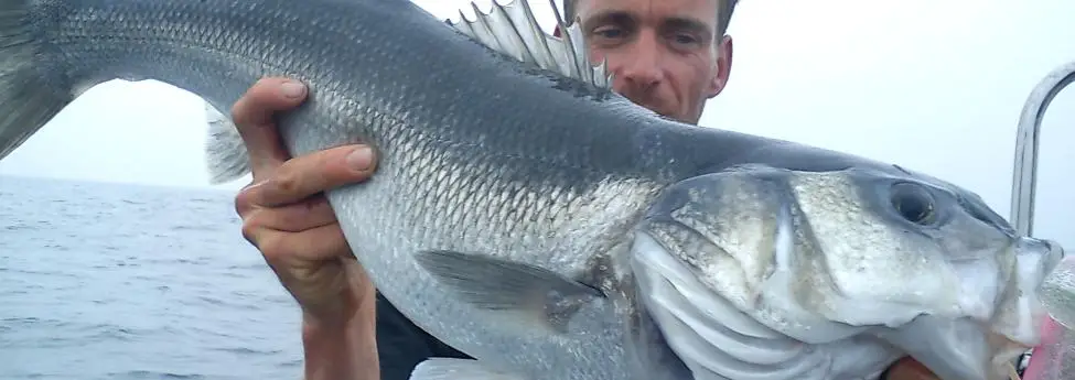 Vendée Pêche Passion