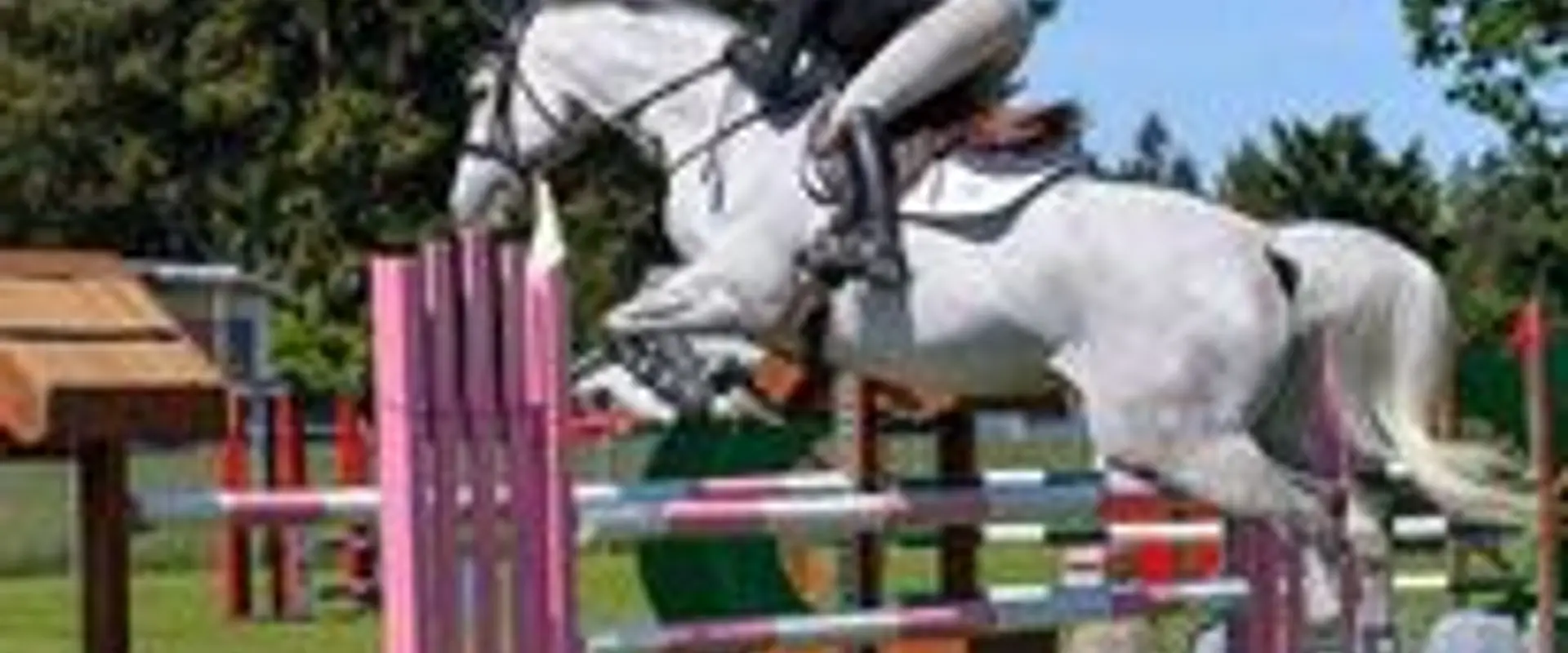 Pink Coat Equestrian | Riding Lessons and Board Victoria BC