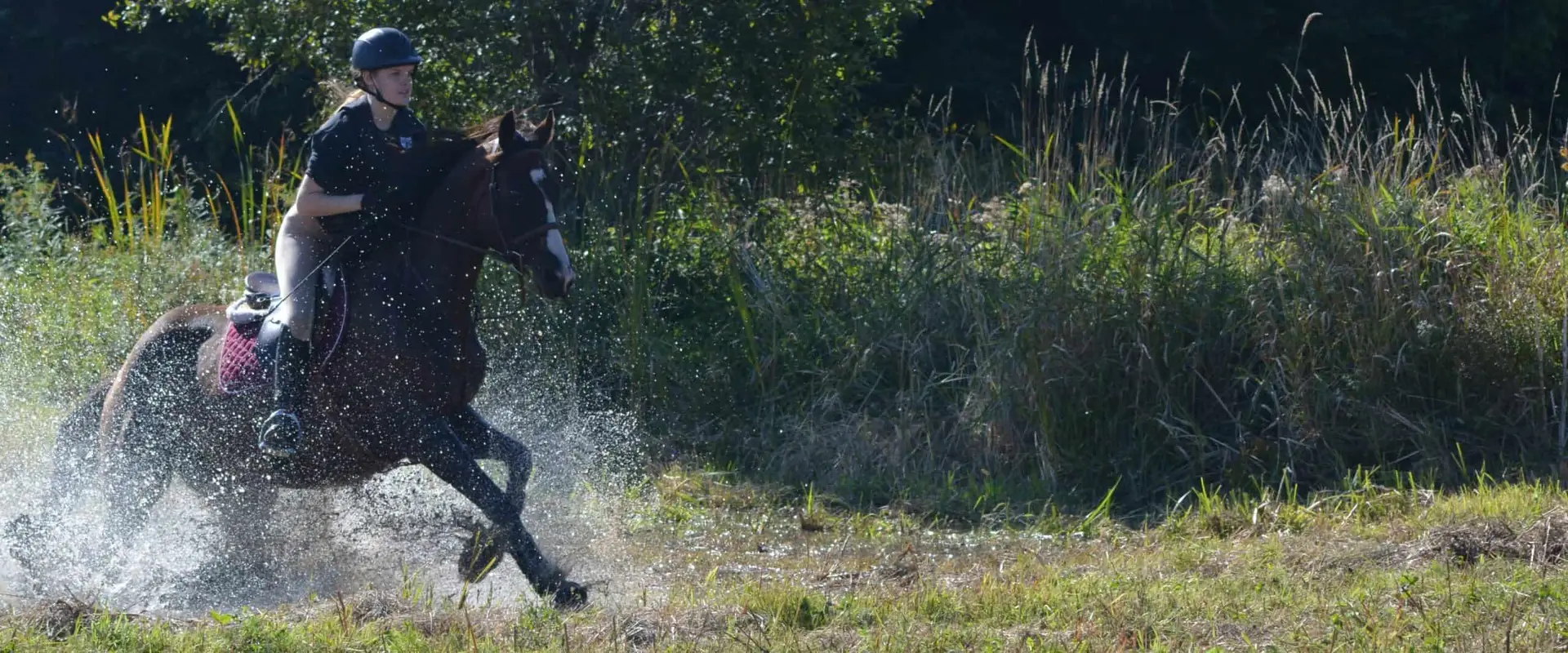 McNab Riding School