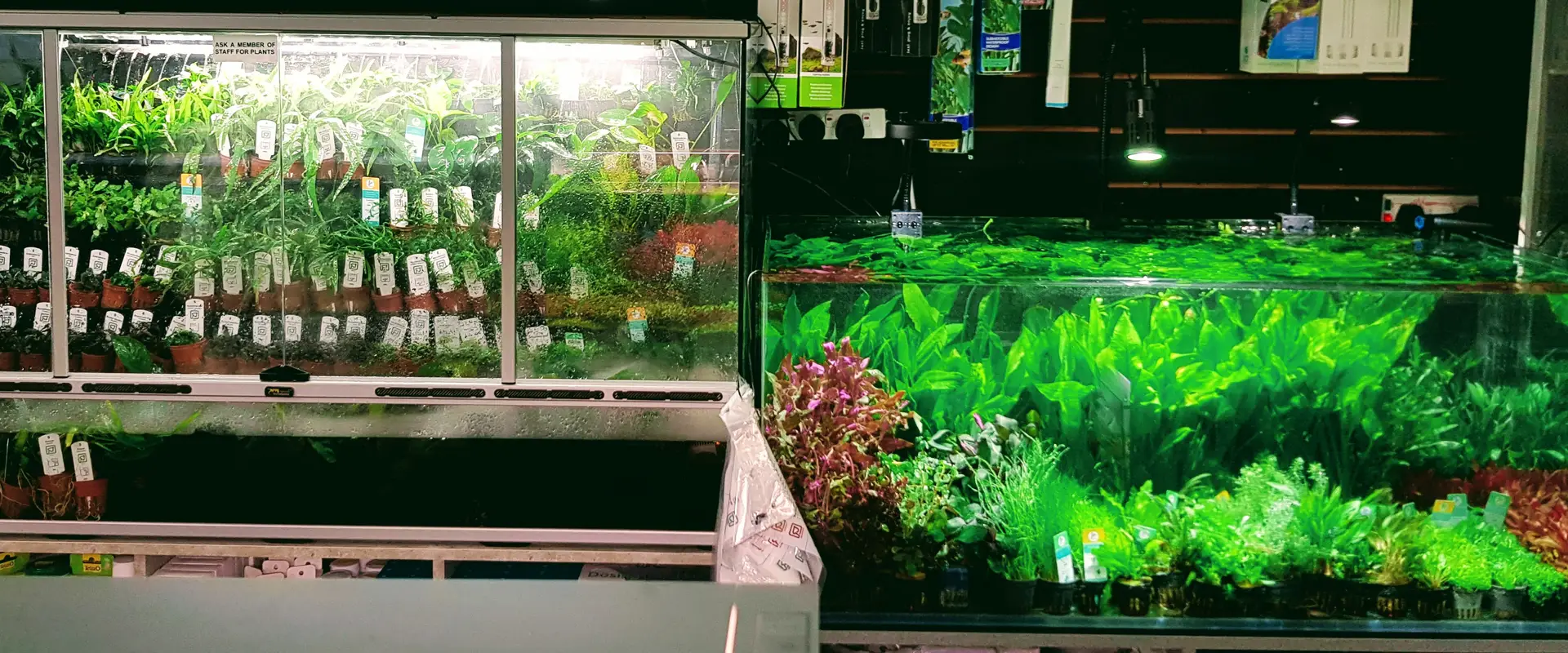 The Aquatic Store