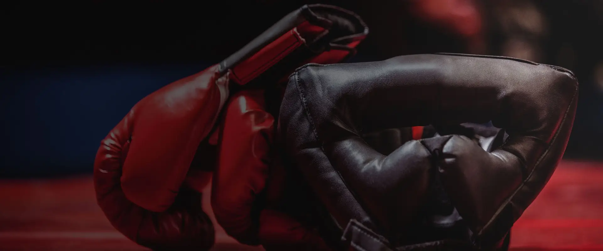 Ultimate Athlete MMA Combat Facility