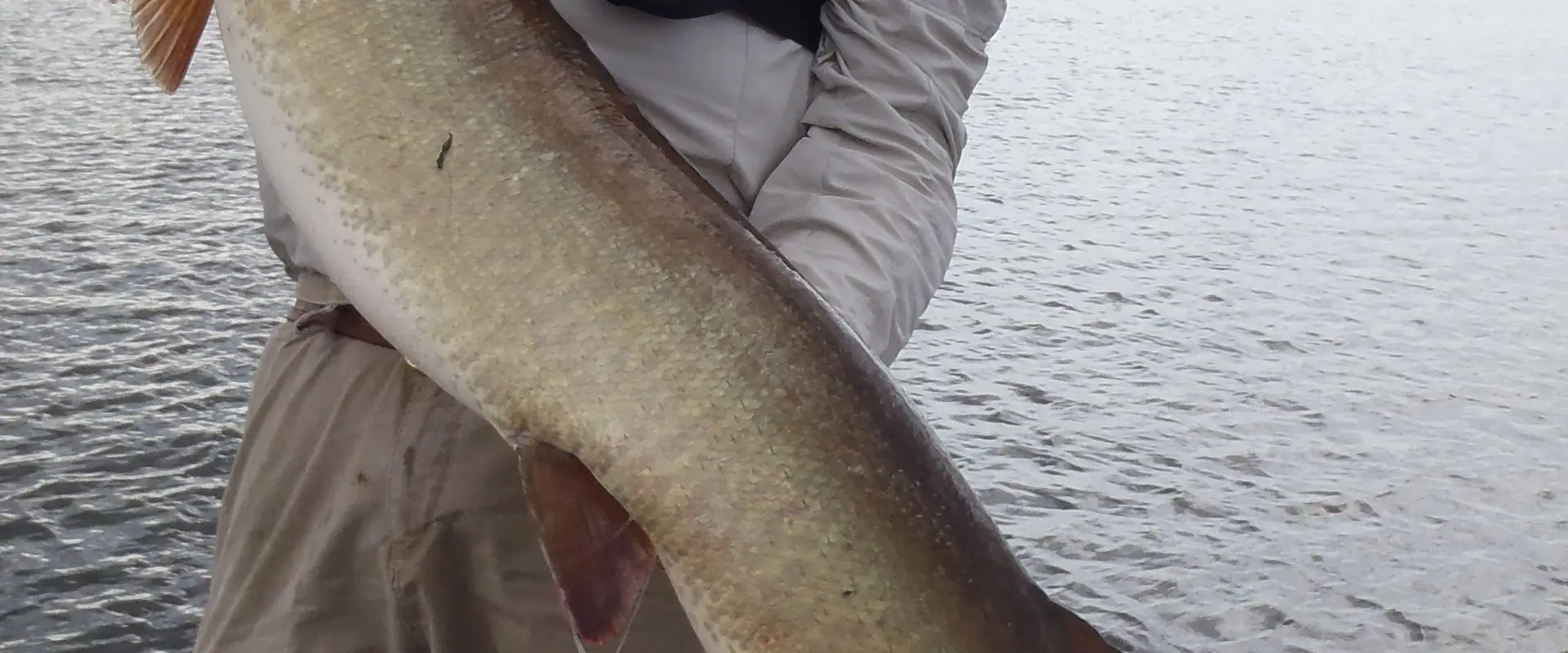 Ottawa River Musky Factory