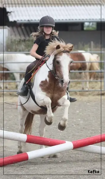 Equestrian Center De L'espiguette