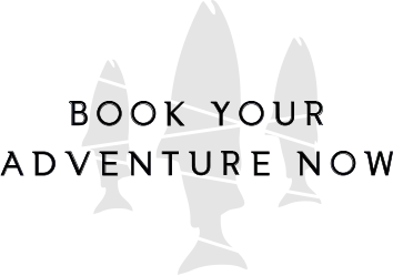 Reel Life Charters