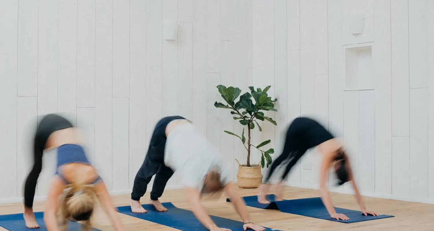 Sunshine Cafe & Yoga