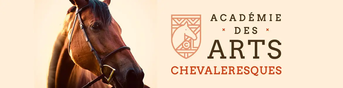 Equestrian Center Academy Arts Chevaleresques