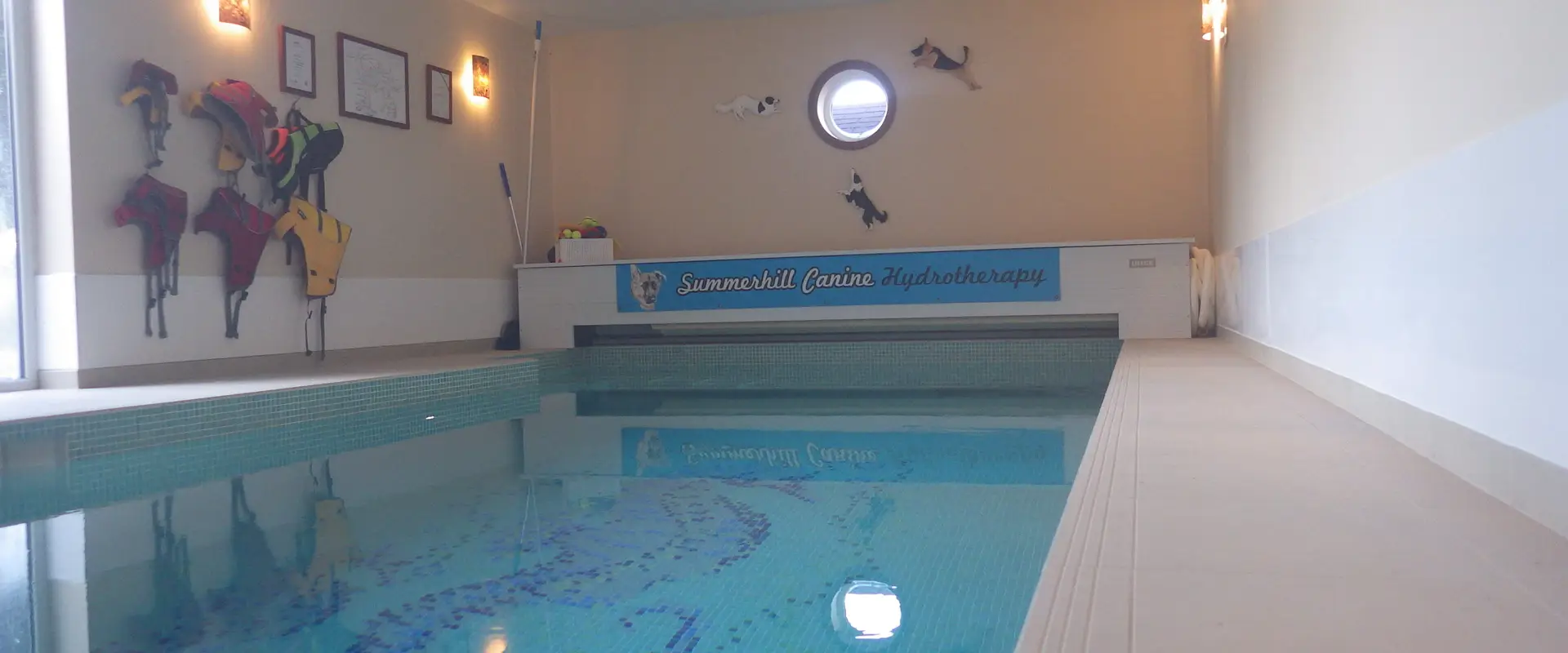 Summerhill Canine Hydrotherapy
