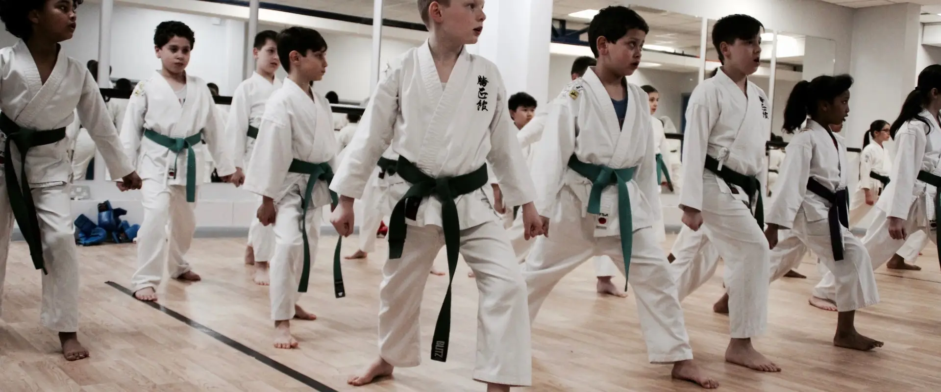 Phoenix Karate School