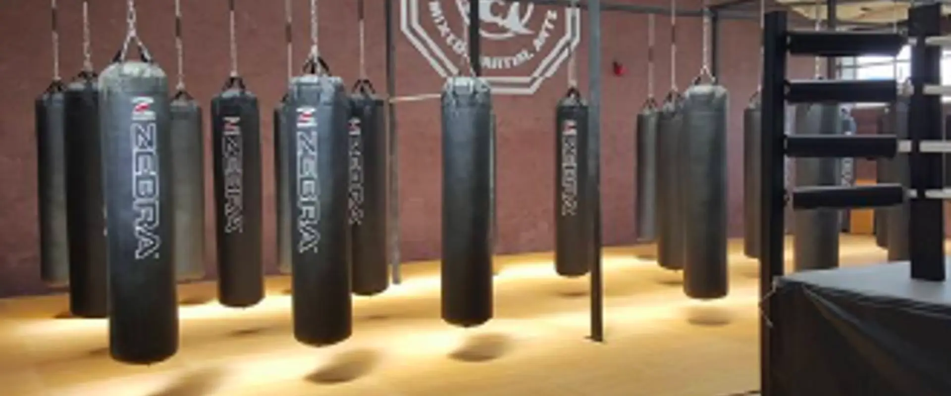 Hammerhead Mma