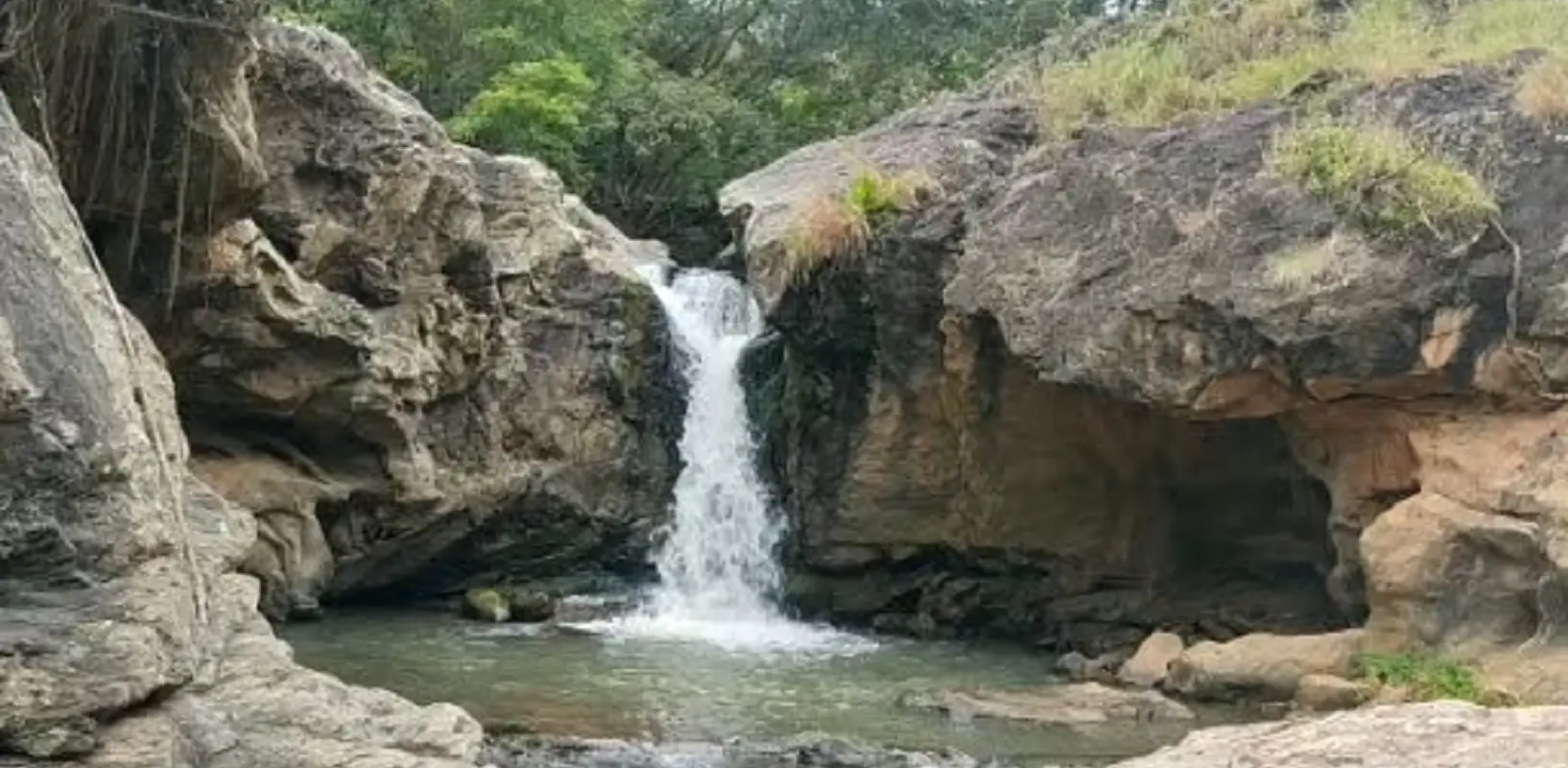 Misty Valley Resort & DevaGiri Organic Farms