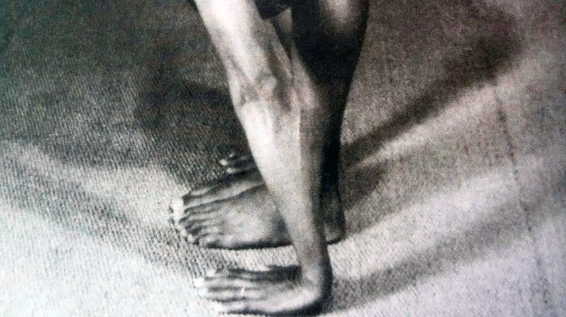 YogaOwl - Ashtanga Yoga, Yoga Iyengar et yoga prénatal à Lyon 7