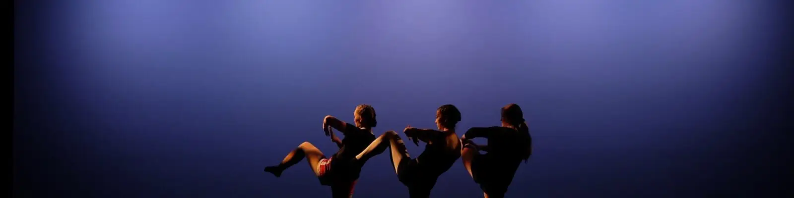Veselka Ukrainian Dance Assn