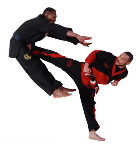 PURPLE DRAGON MARTIAL ARTS - CANADIAN HEADQUARTERS