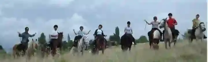 Manes Du Volvestre