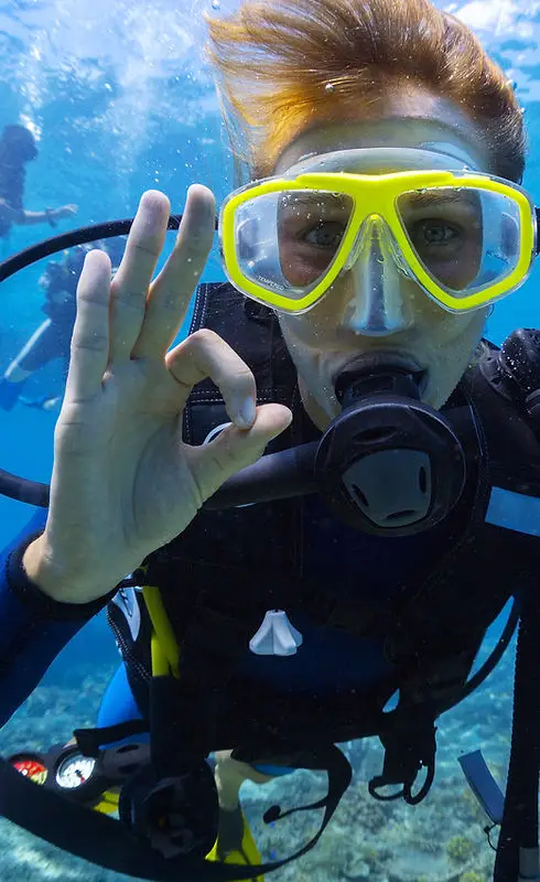 BLUE LIFE DIVING