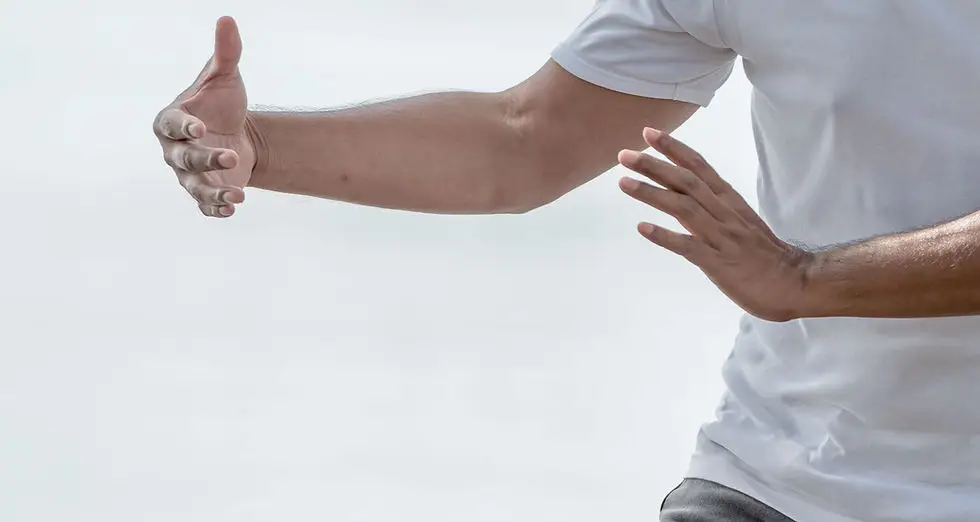 Yang Taiji Quan Meetings And Leisure
