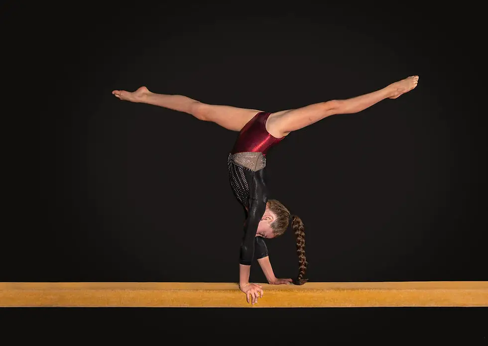 Club De Gymnastique L'envol