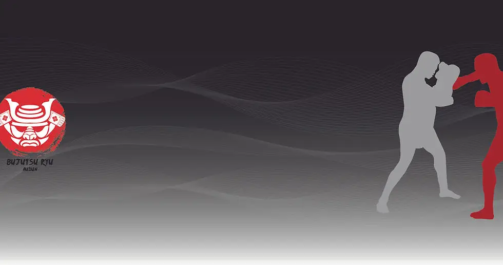 Bujutsu Ryu Audun