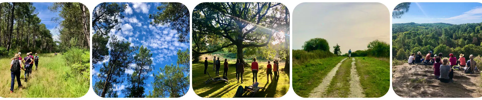 La Parenthèse : Retraites Yoga Loire-Atlantique / Bretagne, Stages Yoga & Cours Yoga Méditation, Eco-lodges