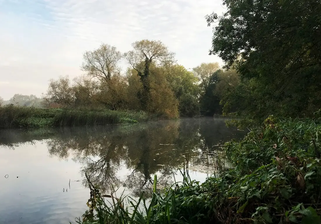 River Great Ouse - Felmersham Fishery (Verulam Angling Club)