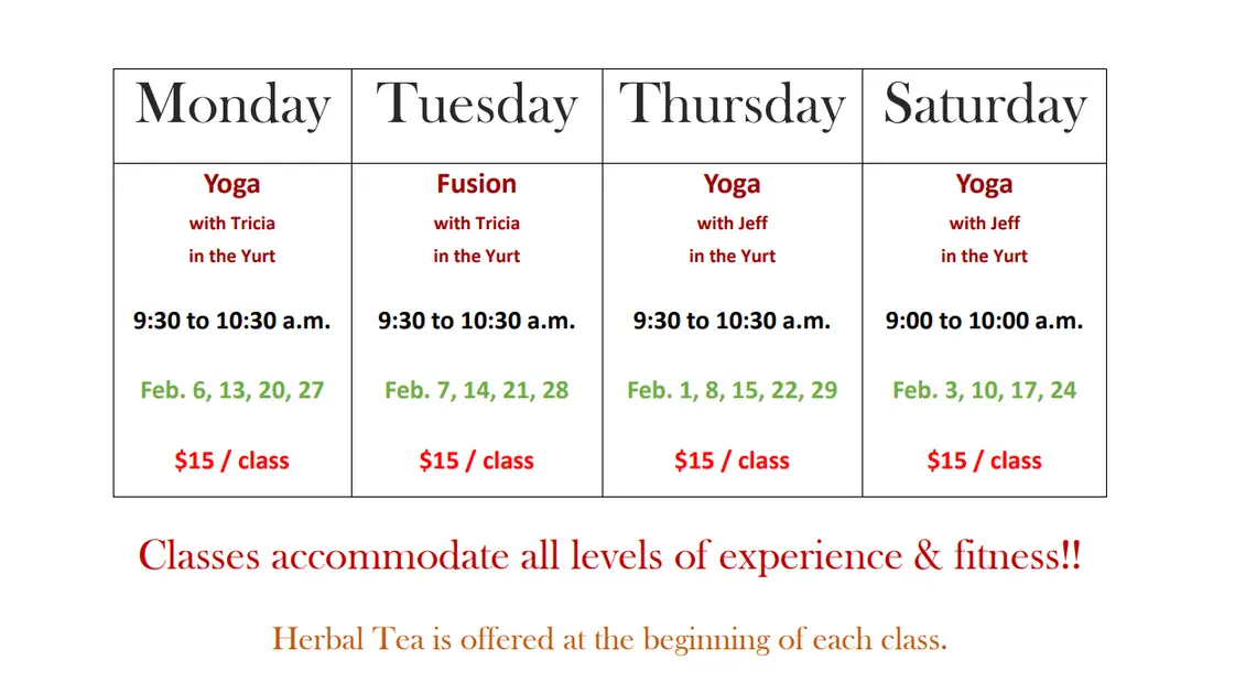 Zeal Holistic Health