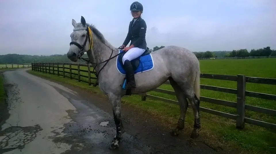 Victoria Ward Equestrian Transport