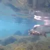 ROJA FISHING