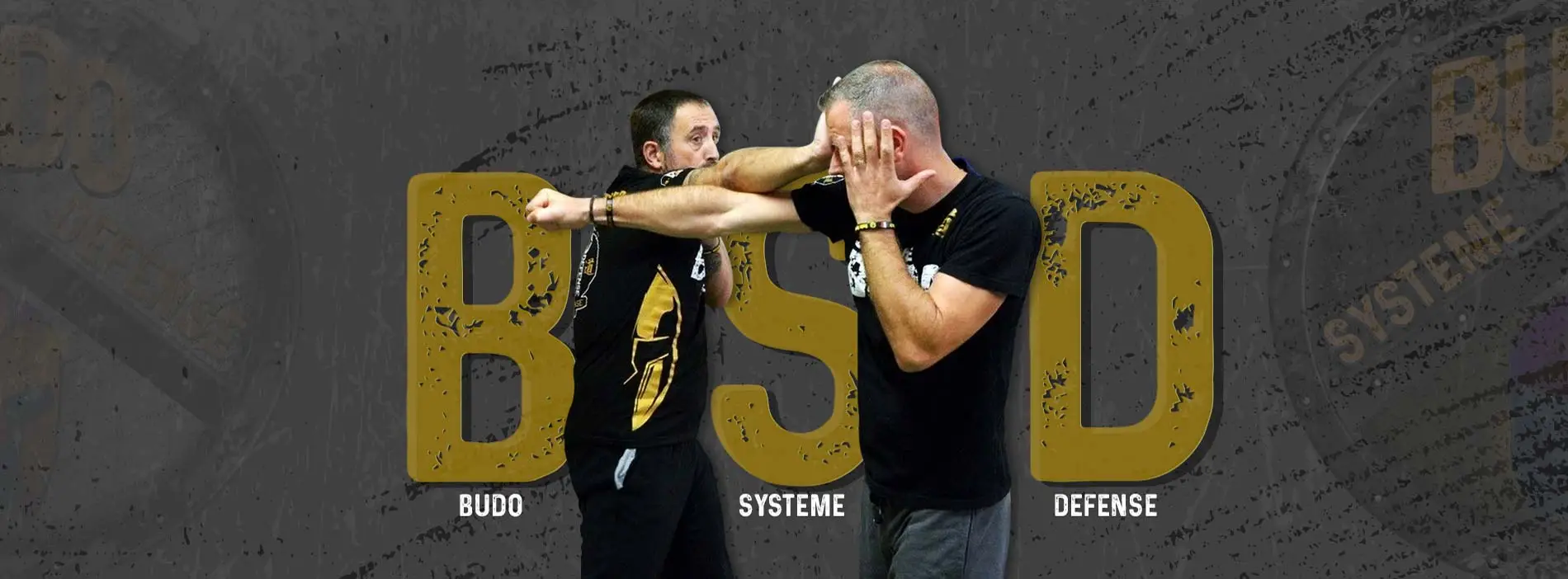 Budo Systeme Defense