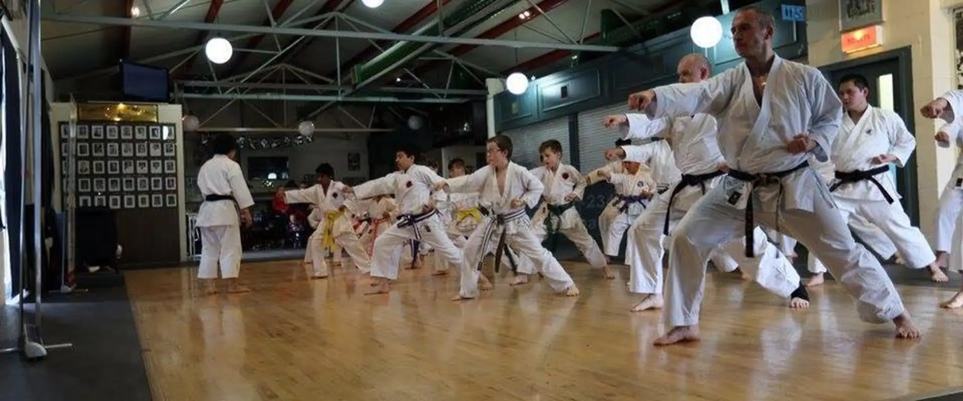 Limerick Shotokan Karate Shojinkai