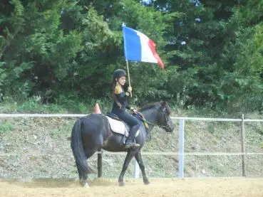 EQUI HARMONIE