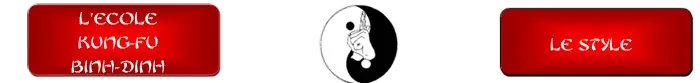 Kung Fu Binh-Dinh Bordeaux