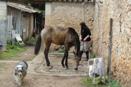 Equestrian Center La Loubière