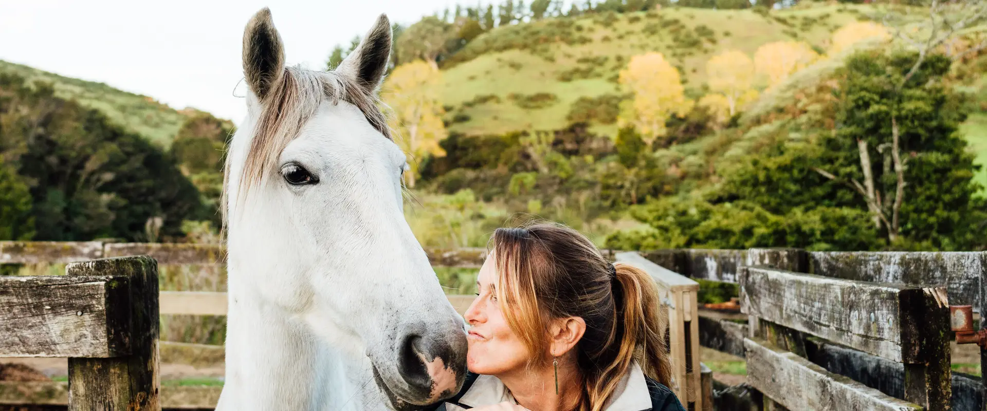 Horse Treks at The Farm