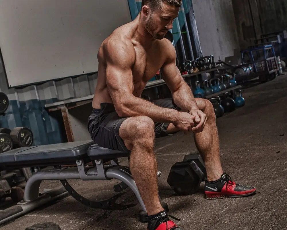 Wild Training Studios
